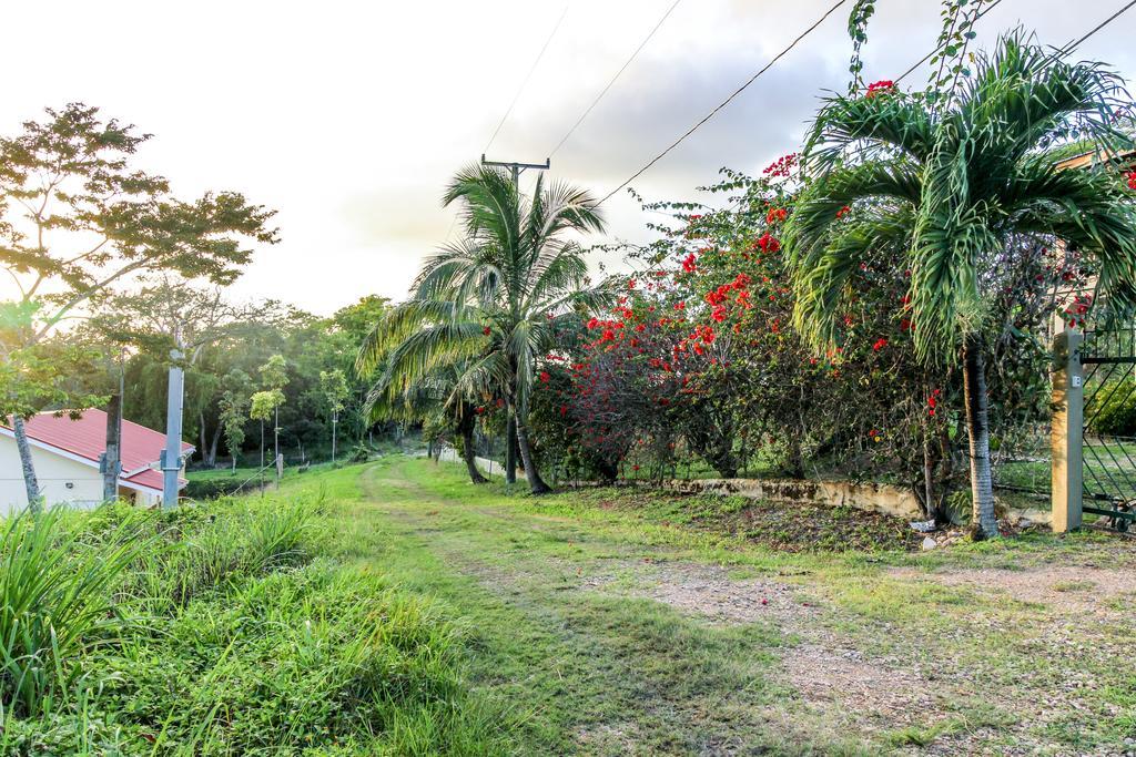Villa Maya San Ignacio Dış mekan fotoğraf